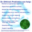 essential-formulas-dr-ohhira-s-probiotic-6.jpg