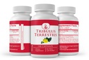 pure-original-ingredients-tribulus-terre-4.jpg