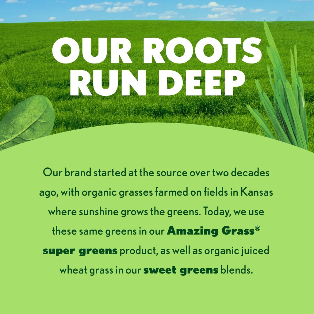 amazing-grass-super-greens-powder-energy-4.jpg