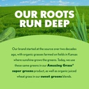 amazing-grass-super-greens-powder-energy-4.jpg