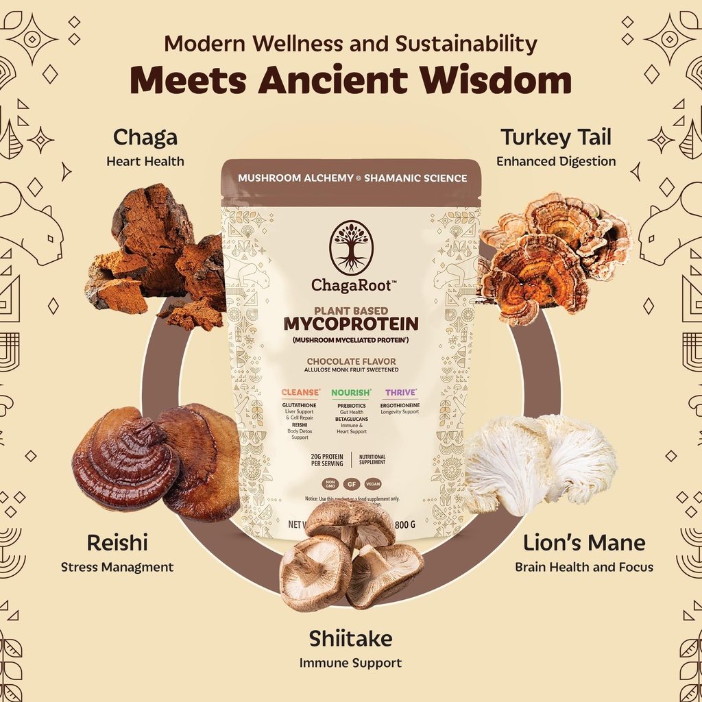 mycoprotein-mushroom-protein-powder-choc-3.jpg
