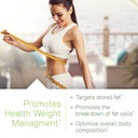 irwin-naturals-forskolin-fat-loss-diet-s-3.jpg