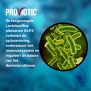 vegan-probiotic-supplement-patented-form-4.jpg