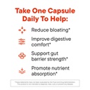 daily-nouri-digestive-support-probiotics-4.jpg