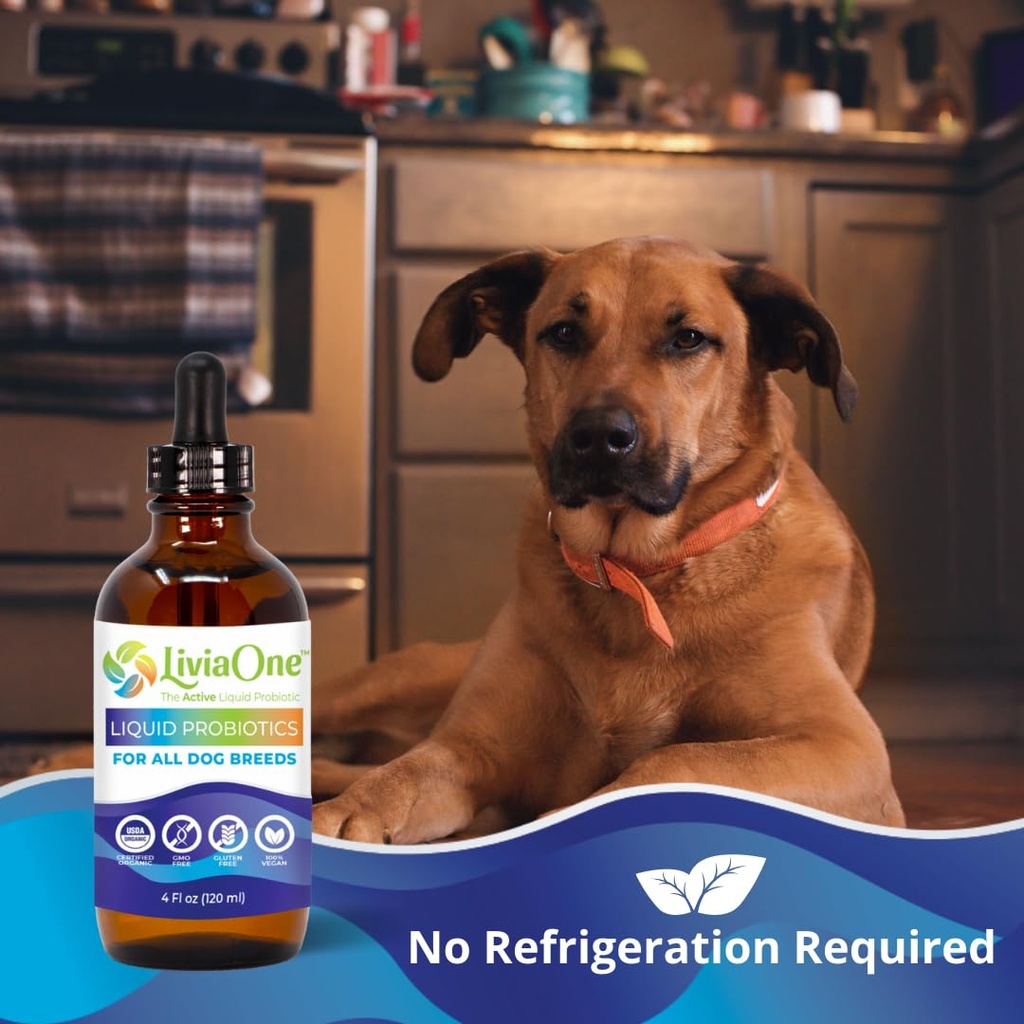 liviaone-biolifepet-liquid-probiotics-fo-3.jpg