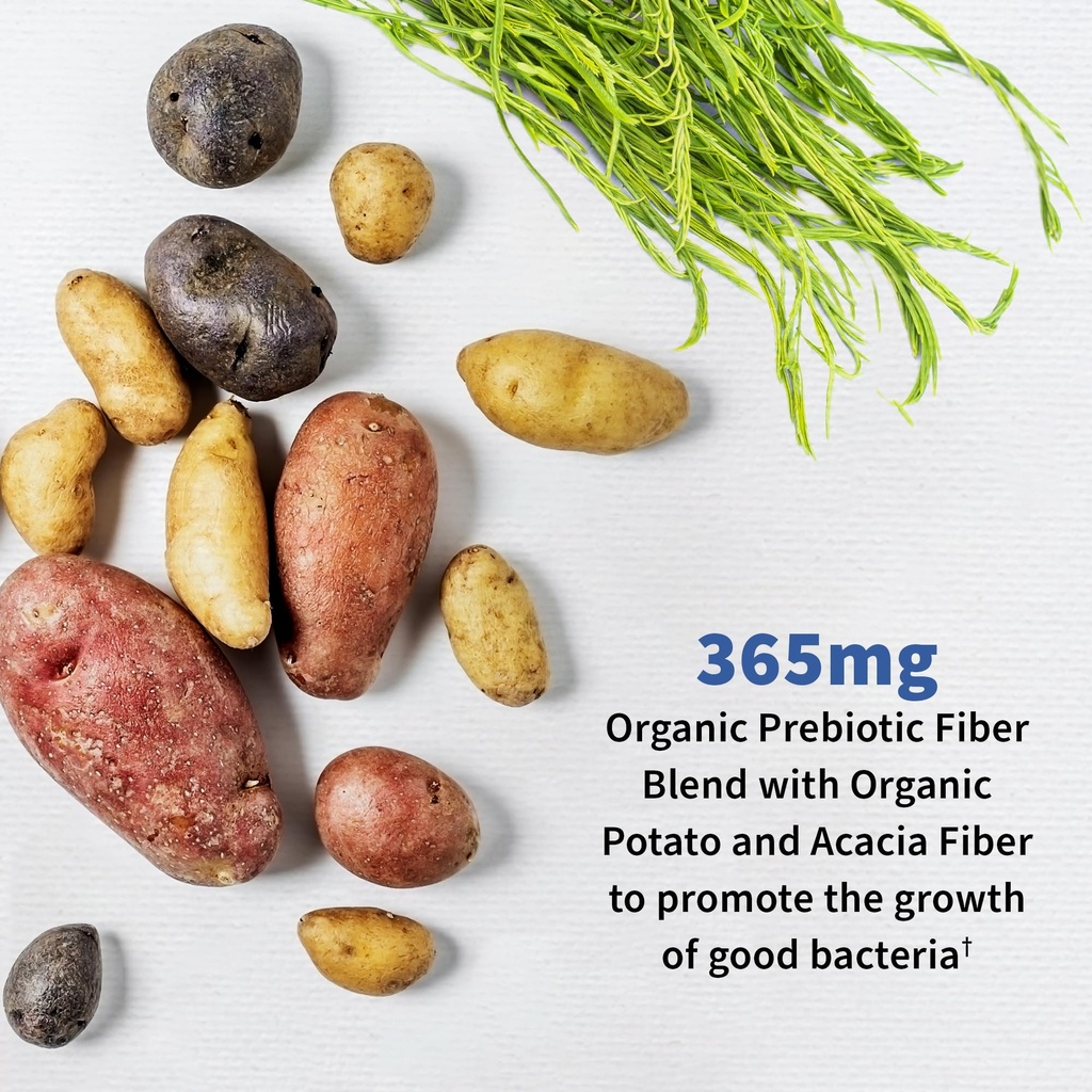 garden-of-life-probiotics-for-men-dr-for-4.jpg