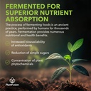 sotru-organic-fermented-turmeric-and-gin-6.jpg