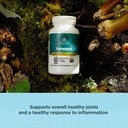 ancient-nutrition-regenerative-organic-c-3.jpg