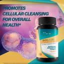 golden-turmeric-pro-improved-formula-our-6.jpg