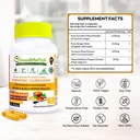 premium-turmeric-capsules-with-ginger-an-4.jpg