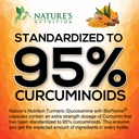turmeric-curcumin-supplement-95-curcumin-5.jpg