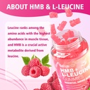 meenccd-2-pack-hmb-and-l-leucine-gummies-4.jpg