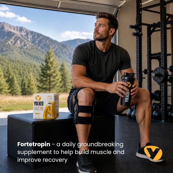 yolked-nsf-certified-muscle-building-sup-2.jpg