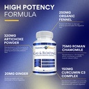 research-verified-gas-and-bloating-relax-2.jpg