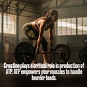 bullfit-pure-creatine-monohydrate-powder-5.jpg