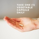 solgar-gentle-iron-25-mg-vegetable-capsu-3.jpg