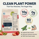 be-amazing-clear-vegan-protein-powder-wi-2.jpg