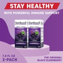 sambucol-black-elderberry-syrup-black-el-5.jpg