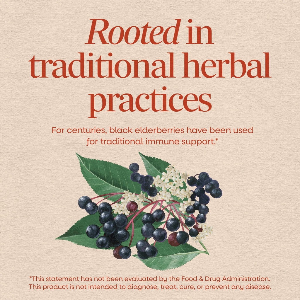 nature-s-way-black-elderberry-capsules-t-3.jpg