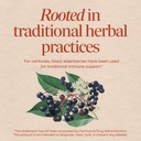nature-s-way-black-elderberry-capsules-t-3.jpg