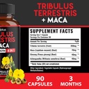 zolotus-premium-tribulus-terrestris-caps-2.jpg