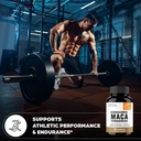 sandhu-s-maca-root-fenugreek-with-ashwag-5.jpg
