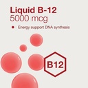 protocol-for-life-balance-liquid-b-12-5--4.jpg