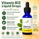 liquid-vitamin-b12-cold-pressed-high-abs-2.jpg