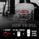 5-nutrition-rich-piana-alldayyou-shred-b-5.jpg
