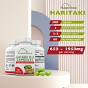 kailash-herbals-organic-haritaki-capsule-6.jpg
