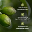 banyan-botanicals-organic-haritaki-powde-2.jpg