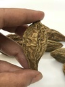 harad-haritaki-whole-terminalia-chebula--5.jpg