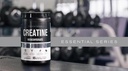 creatine-monohydrate-micronized-powder-5-5.jpg