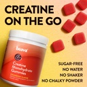 creatine-monohydrate-gummies-30-servings-3.jpg