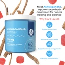 dr-moritz-ashwagandha-gummies-for-calm-r-3.jpg