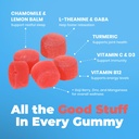 dr-moritz-ashwagandha-gummies-for-calm-r-5.jpg