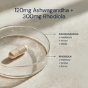 blueprint-bryan-johnson-ashwagandha-rhod-5.jpg
