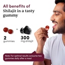 man-matters-shilajit-gummies-for-men-ksm-4.jpg