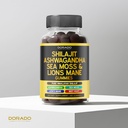 shilajit-gummies-with-sea-moss-ashwagand-5.jpg