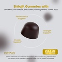 shilajit-gummies-with-sea-moss-ashwagand-4.jpg