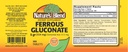 nature-s-blend-ferrous-gluconate-tablets-2.jpg