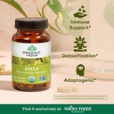 organic-india-amla-capsules-organic-indi-2.jpg