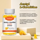 acetyl-l-carnitine-gummies-l-carnitine-s-4.jpg