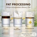 dokkanaburadas-plant-based-weight-loss-s-3.jpg