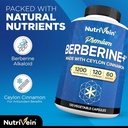 nutrivein-premium-berberine-1200mg-citru-5.jpg