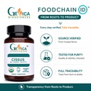 cissus-quadrangularis-usda-organic-1500--5.jpg