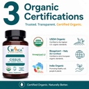 cissus-quadrangularis-usda-organic-1500--2.jpg