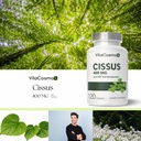 cissus-quadrangularis-extract-400-mg-per-5.jpg
