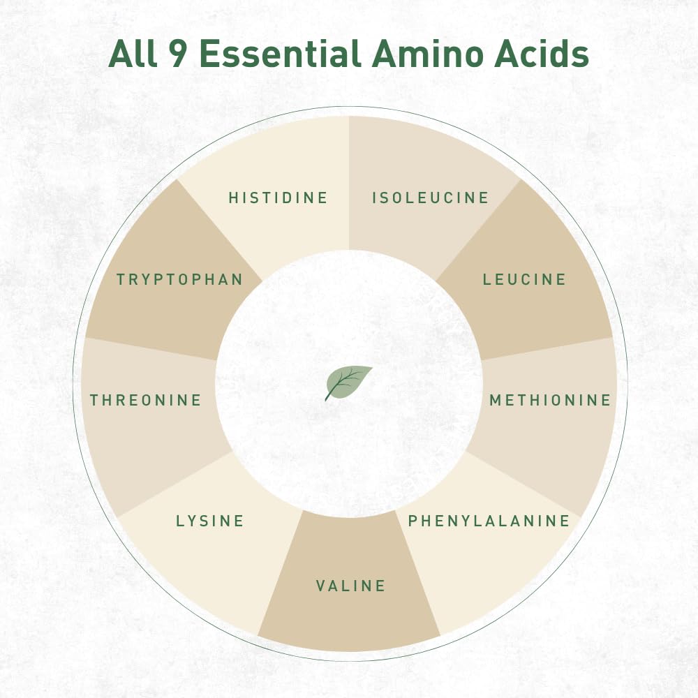 hemp-vegan-protein-powder-for-heart-and--4.jpg