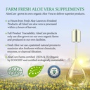 aloecure-veraflex-natural-joint-health-6-6.jpg